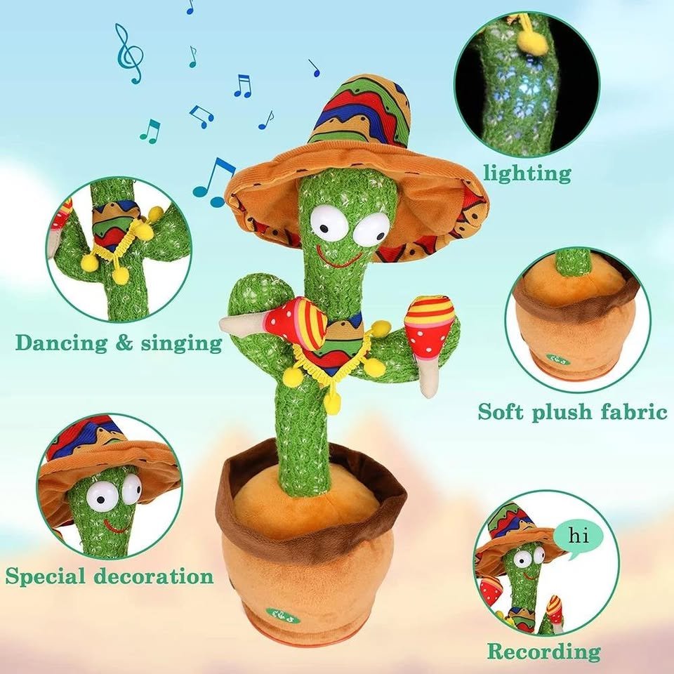 cactus 7 cactus 7
